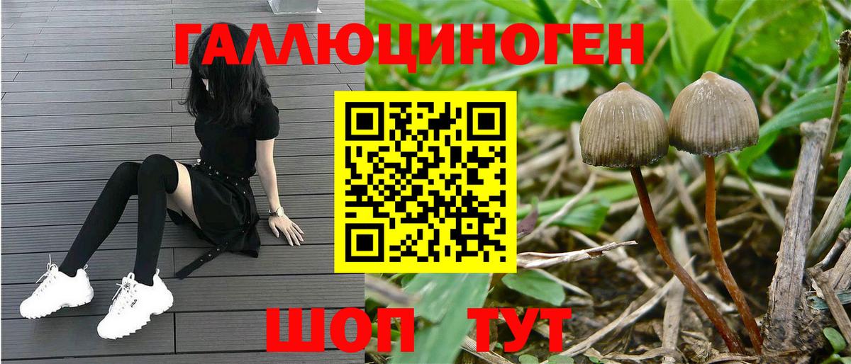 Коммунар  Псилоцибиновые грибы Cubensis  Вход с VPN  Галлюциногенные грибы Psilocybe 